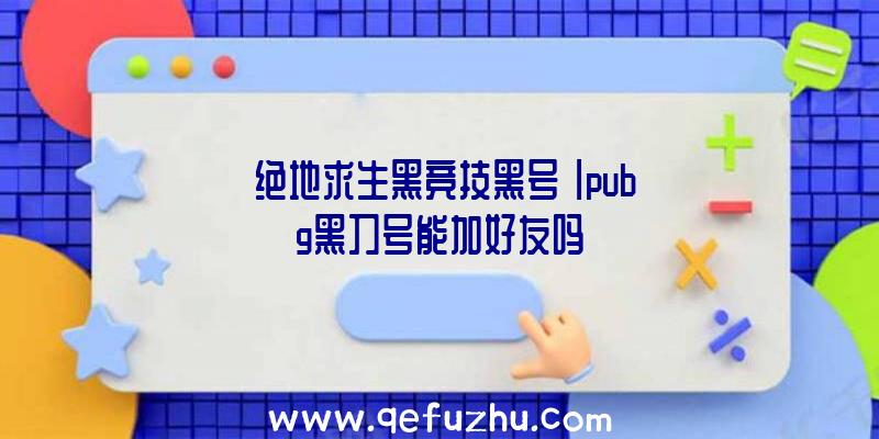 「绝地求生黑竞技黑号」|pubg黑刀号能加好友吗